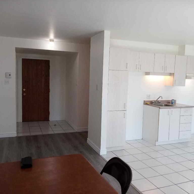 1 1/2 disponible à partir du 15 mai, 3e étage, ascenseur piscine quiétude, vue cour arrière - Photo 1