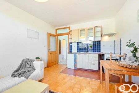 Pronájem bytu 1+1 se dvěma balkony Brno Žabovřesky, ulice Vychodilova - Photo 3