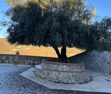 Finca rústica de alquiler en N/a, -1, Sedella - Photo 3