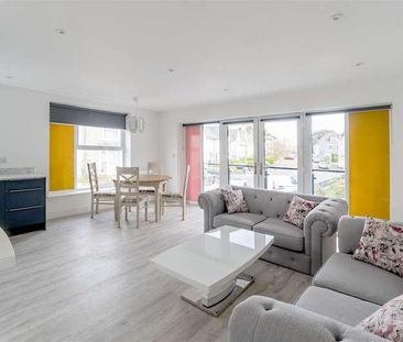 Greenbank Terrace, Greenbank, Plymouth - Photo 4