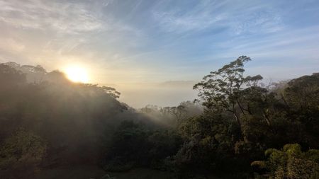 Hornsby Heights - Photo 3