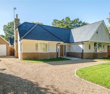3 bedroom bungalow to rent - Photo 3