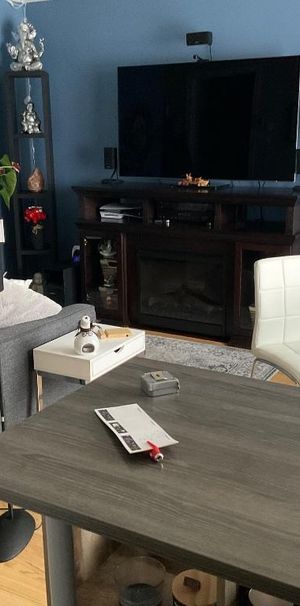 MÉTRO LAVAL 31/2 HAUT DE TRIPLEX LIBRE LE 1er AVRIL - Photo 1