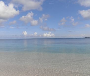 Ground-Level Gem with Sunny Alfresco, On the Beach! - Photo 1