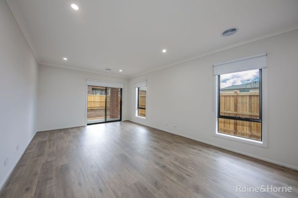 Brand New Modern House - Photo 1