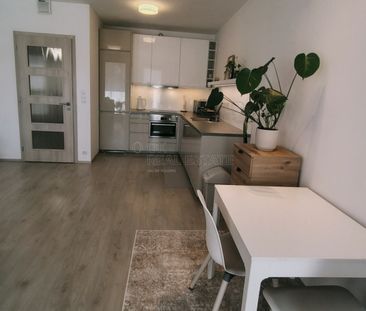 Pronájem bytu 1+kk a garsoniéry 57 m² - Fotografie 3
