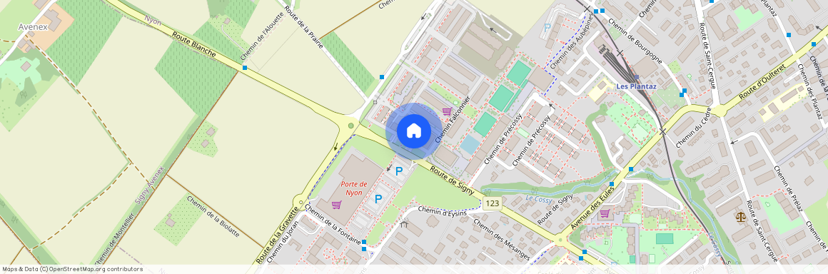 Chemin Falconnier 57 (1A.1), 1260 Nyon