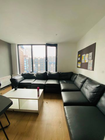 Large Highest Double Studio - Photo 4