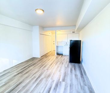 Renovated studio available NOW – 175 Sherbrooke O - Photo 3