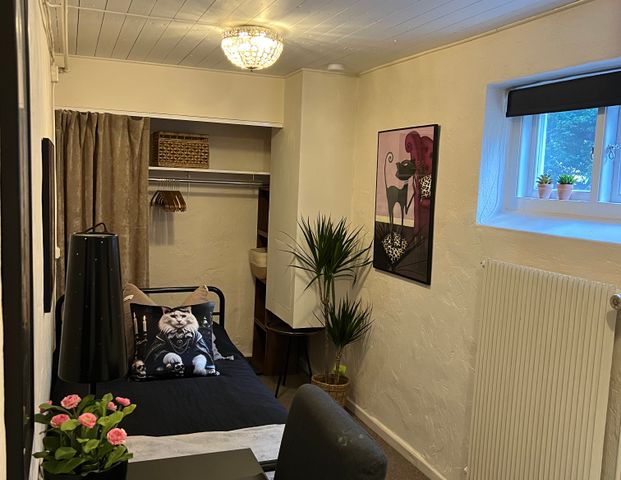 Gustav Adolfs gata, Skövde - Foto 1