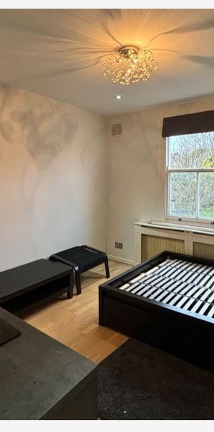 Studio Flat, Leigham Vale, SW16 - Photo 1