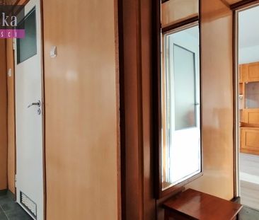 Łódź, Bałuty, Teofilów, Rojna Mieszkanie na wynajem – zdjęcie 6