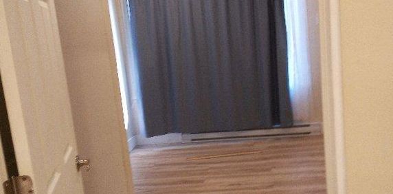 very nice and big 3.5 apartment for rent-APPLIANCES INCLUDED - Photo 2