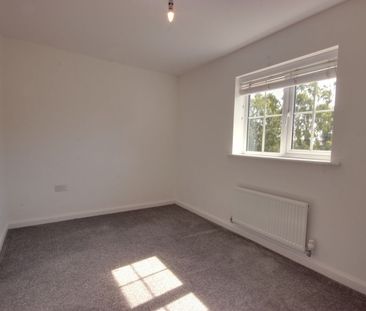 2 Bedroom - Photo 5
