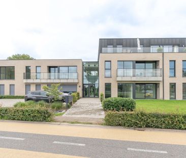 Serviceflat te huur in Hoogstraten voor € 835 met 1 slaapkamer - Photo 5