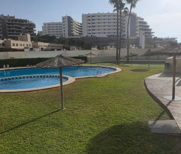 Elche / Elx - Foto 2