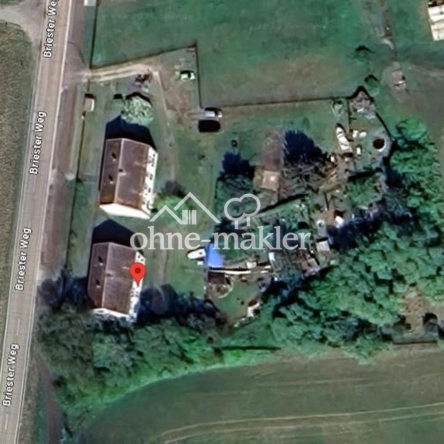 3 Raum Whg Briester Weg 1 - Foto 2