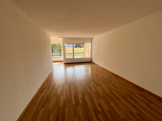 Kinderfreundliche 4.5-Zimmer-Wohnung im Seidenbergquartier mit Aussicht auf dem Gurten - Foto 1