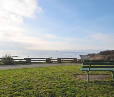 Renovated 1 bedroom steps from Beacon Hill Park and Cook St. - Photo 3