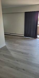 Newly Renovated 1Bed 1 Bath - Photo 3