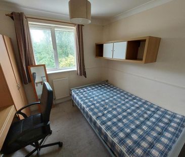 4 bedroom house share to rent - Photo 6
