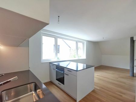 Kleinriehenstrasse, Basel - Foto 3