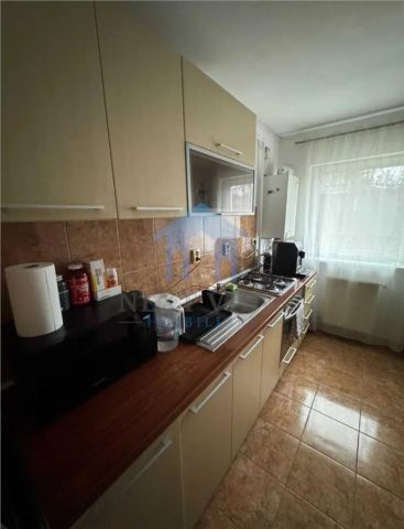 Apartament 1 camera, Intre Lacuri - Photo 3