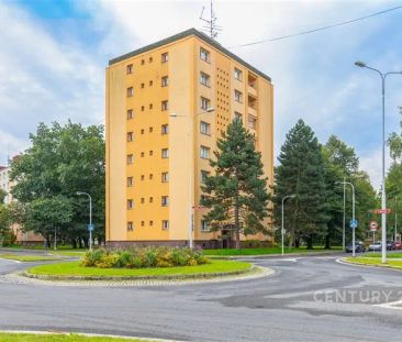 Pronájem zrekonstruovaného bytu 1+kk, 22 m - Fotografie 5