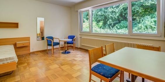 1 room apartment - Photo 3