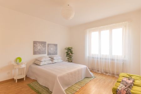 Tranquillità e comfort a Locarno 3.5 locali - Foto 3