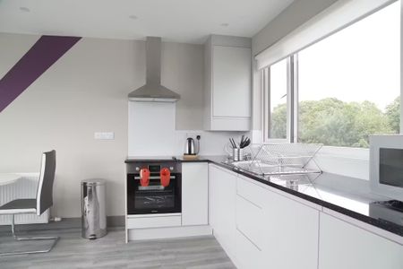 The Rise, Dublin - Photo 5