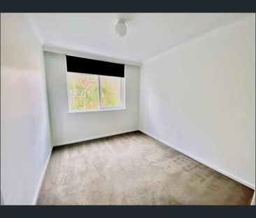 3/95 Addison St, Elwood, Vic 3184 - Photo 4
