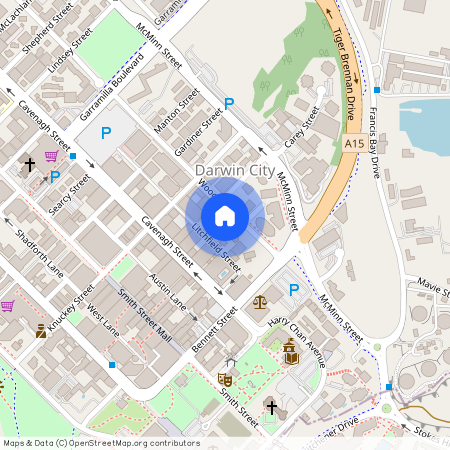 39/29 Woods Street, Darwin City NT 0800