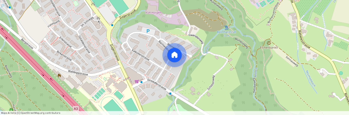 Bachtelstrasse 38, 8810 Horgen, Switzerland, 8810 Horgen