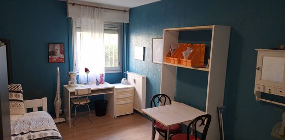 Location Appartement 1 pièce 19m² MONTPELLIER 34000 - Photo 2