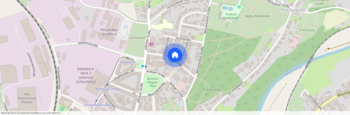 Schumannstr. 17, 08525 Plauen