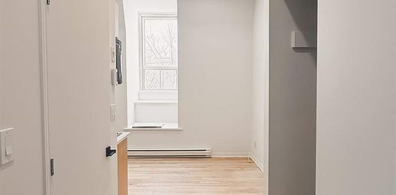 1 CH - 1 SDB - Montréal - $1,195 /mo - Photo 2