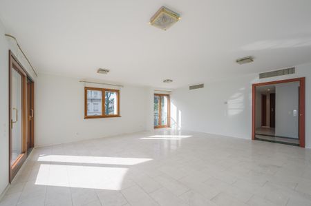 AMPIO APPARTAMENTO IN PRIMA FILA LAGO - Photo 2