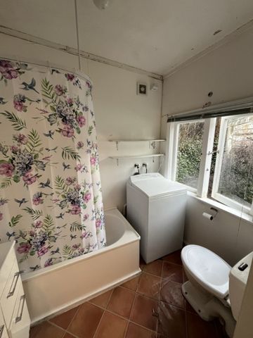 Cosy Two Bedroom Andersons Bay Home - Photo 5