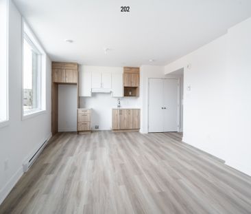 Condo for rent, Montréal (Rosemont/La Petite-Patrie) - Photo 6