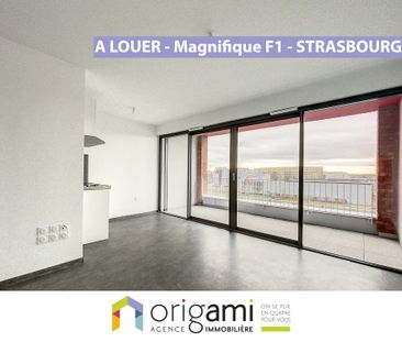 Location Appartement 1 pièce 26m² STRASBOURG 67000 - Photo 3