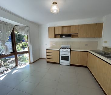 Light-Filled Living in the MWSC Zone with Private Courtyard - Photo 3