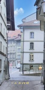 EXCLUSIVE FIRST RENTAL AFTER NUCLEAR RENOVATION - Photo 4