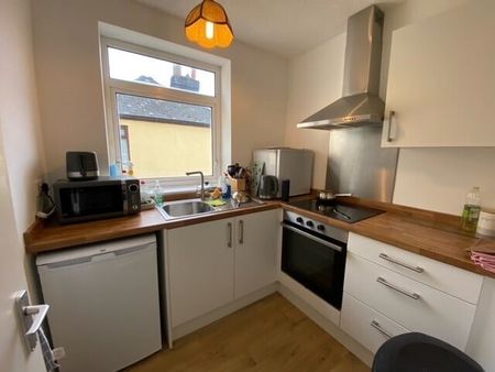 Hill Park Crescent, Plymouth - Photo 3