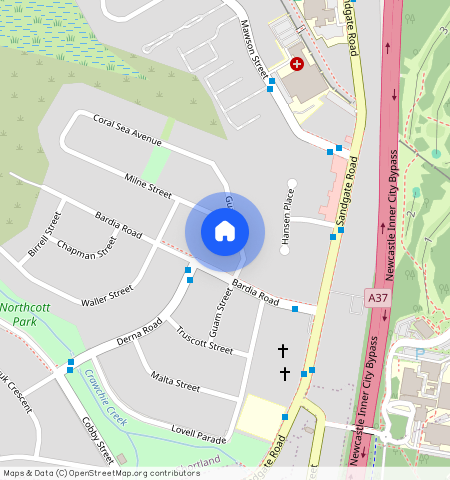 ** Guam Street, Shortland, NSW 2307