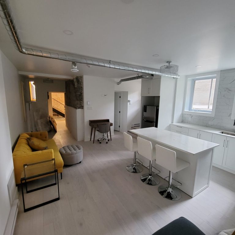 McGill Area - Superb 4 1/2 Furnished - Photo 1