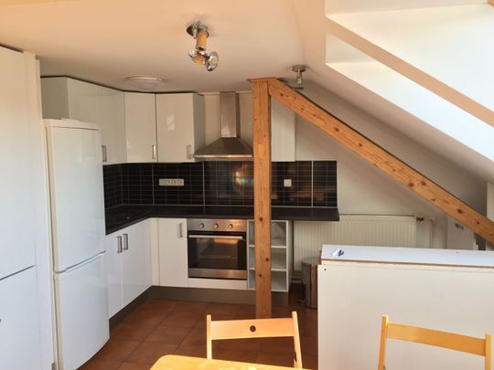 Pronájem bytu 3+kk • 127 m² bez realitkyČápkova, Brno - Veveří, Jihomoravský kraj - Photo 1