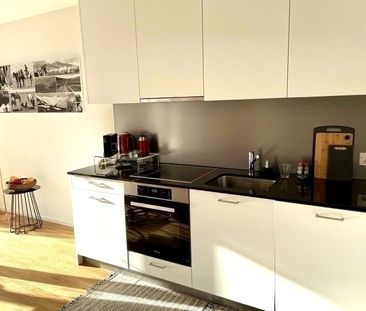 APPARTEMENT 2 PIÈCES À BÂLE - ISELIN, MEUBLÉ, TEMPORAIRE - Photo 1