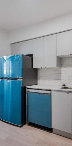 1 CH - 1 SDB - St-Laurent - $1,495 /mo - Photo 1