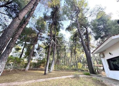 Μονοκατοικία για ενοικίαση Σανή (Κασσάνδρα) - Photo 3